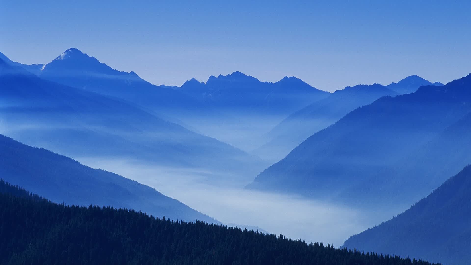 世界保龄球社区活动月志愿者风采榜启动评选，保龄球选手世界排名